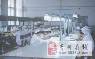 青州電子廠招聘女電子操作工