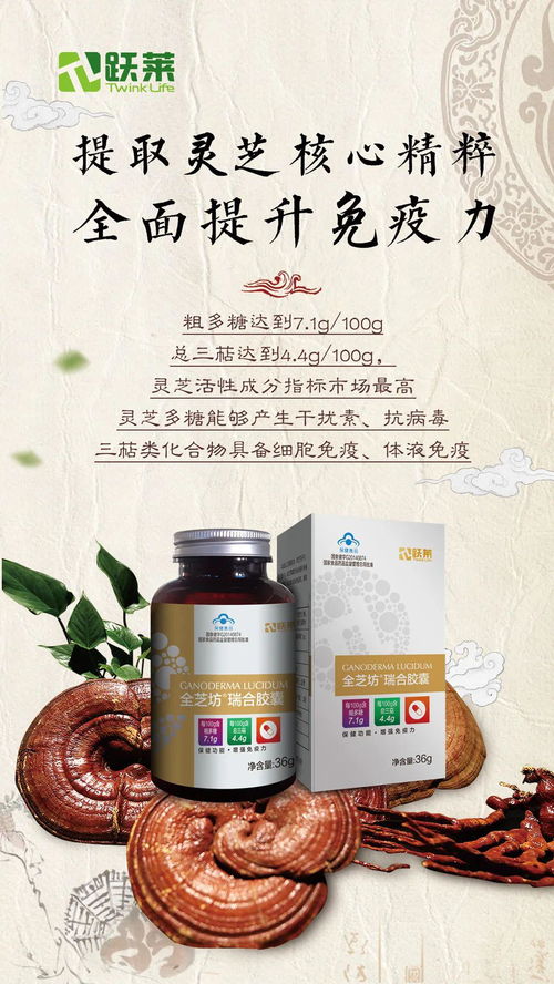 權(quán)威中醫(yī)專家審定的全年養(yǎng)生營(yíng)養(yǎng)月歷 愿伙伴家人一整年平平安安